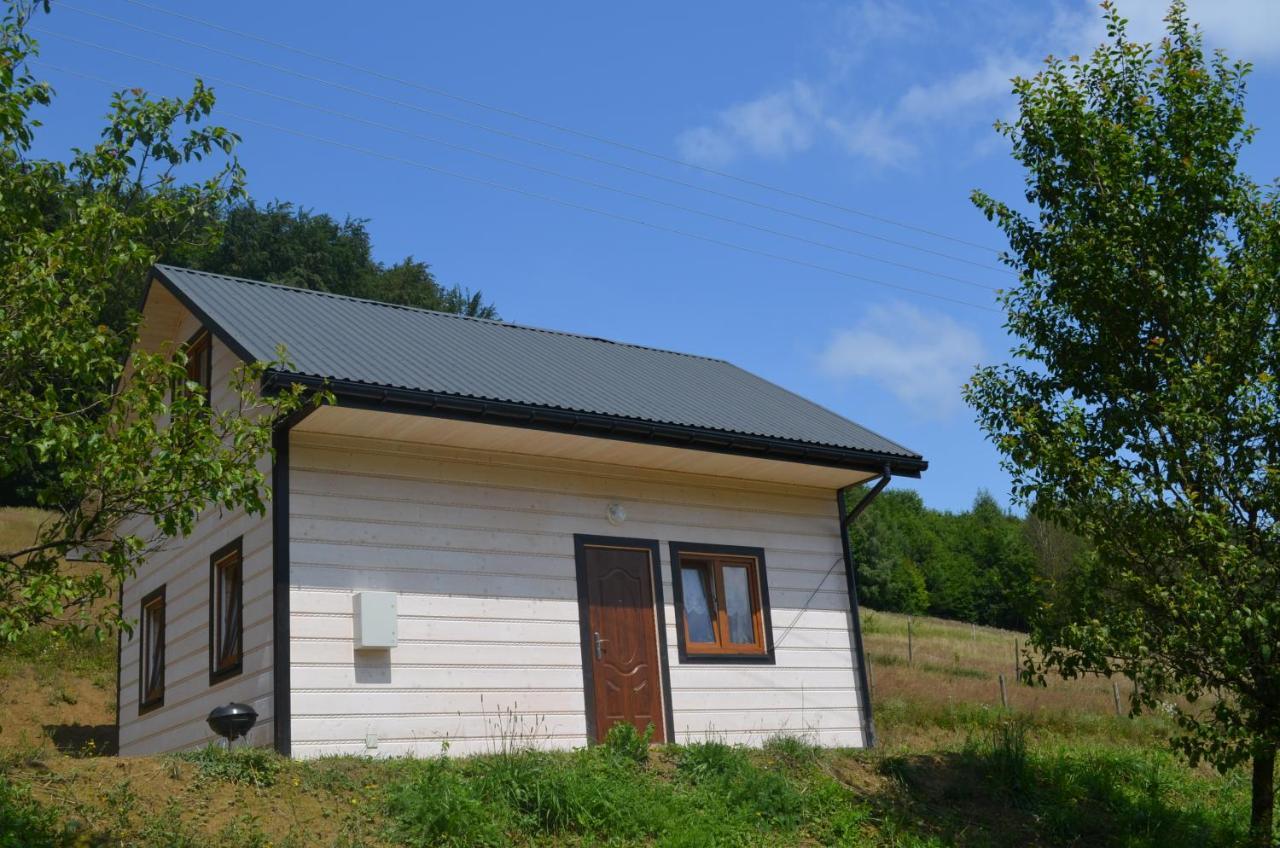 Domek Zacisze Gor Slonnych Tyrawa Woloska Buitenkant foto