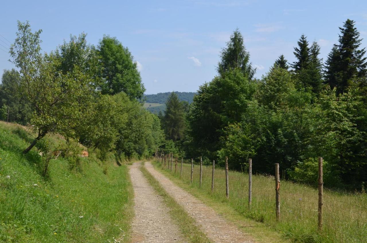 Domek Zacisze Gor Slonnych Tyrawa Woloska Buitenkant foto